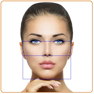 Aesthetic Facial Analysis